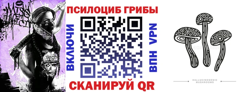 Псилоцибиновые грибы MAGIC MUSHROOMS Купить закладки Богородск
